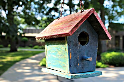 bird house garden rustic