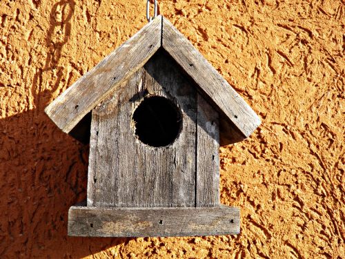 bird house wooden house
