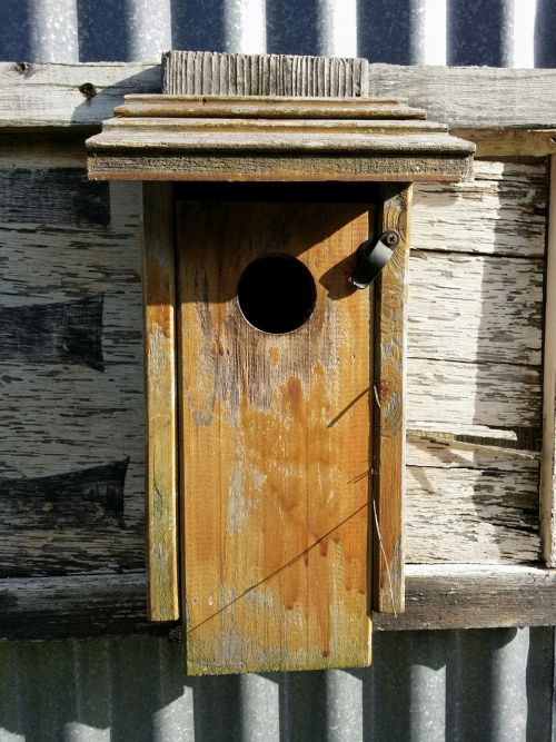 bird house country outdoor