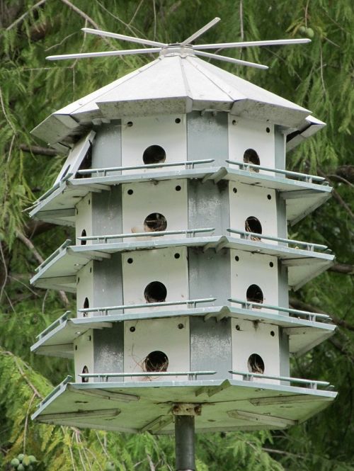 bird house bird condo