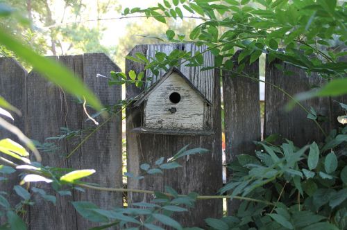 bird house fence garden
