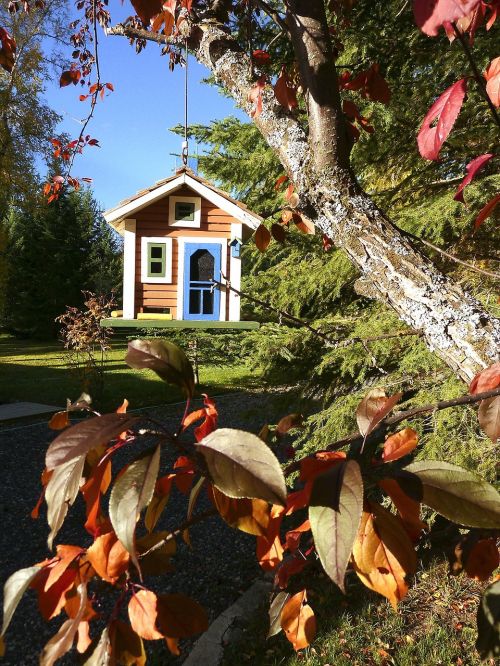 bird house fall autumn