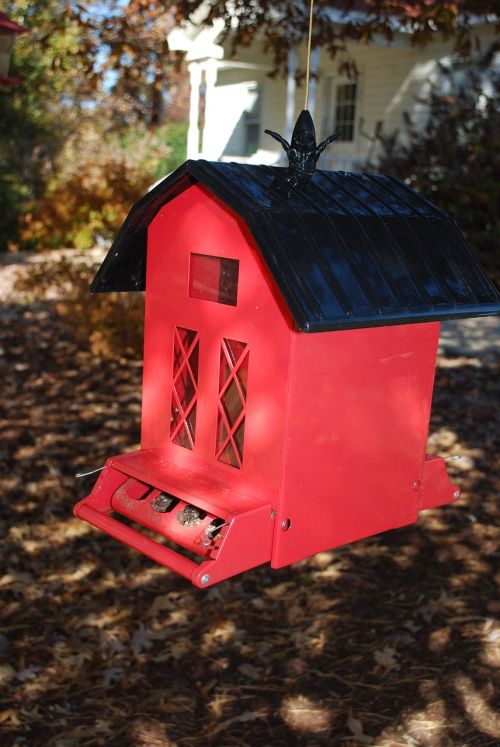 bird house barn bird feeder