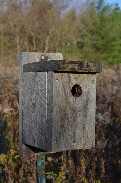 bird house nest box wooden