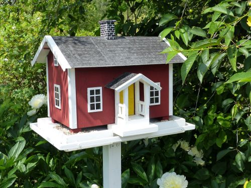 bird houses garden summer