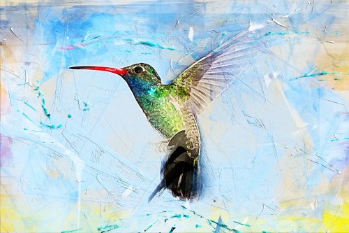 bird hummingbird art abstract