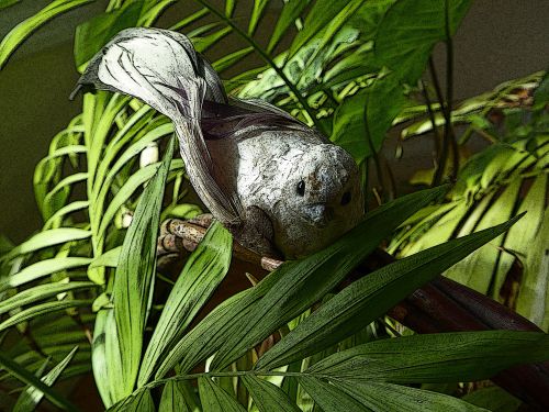 Bird In Bush