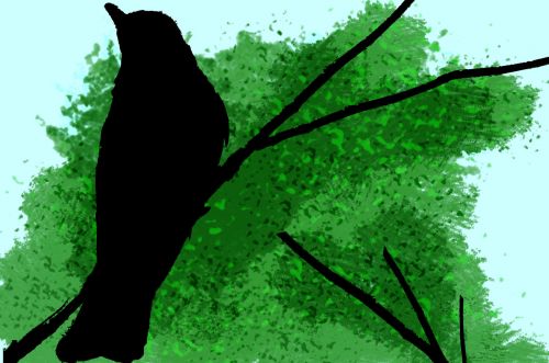Bird In Tree Background