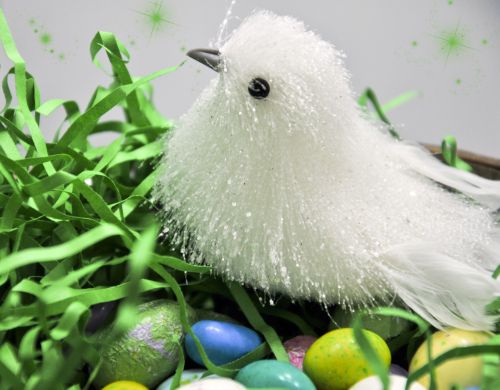 Bird Nesting On Easter Eggs #2