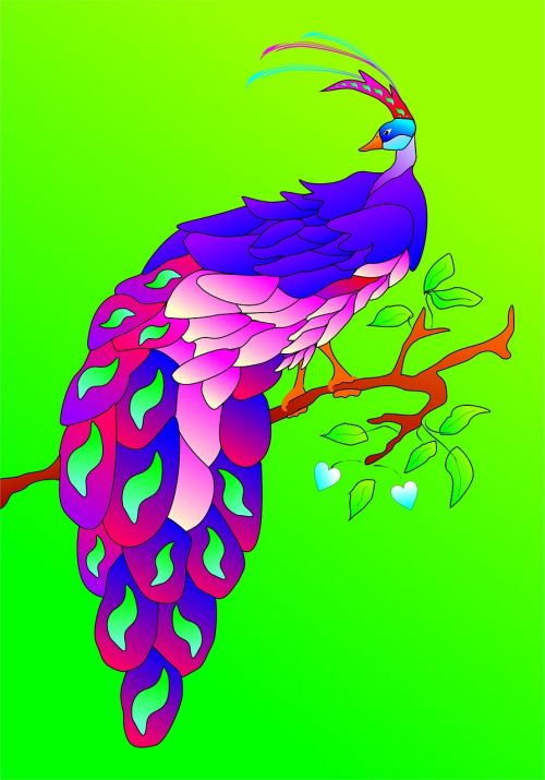 bird of paradise peacock bird