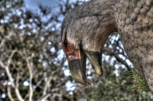 Bird Sculpture