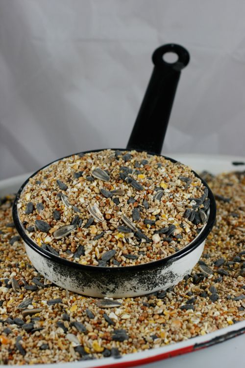Bird Seed Pan Ladle