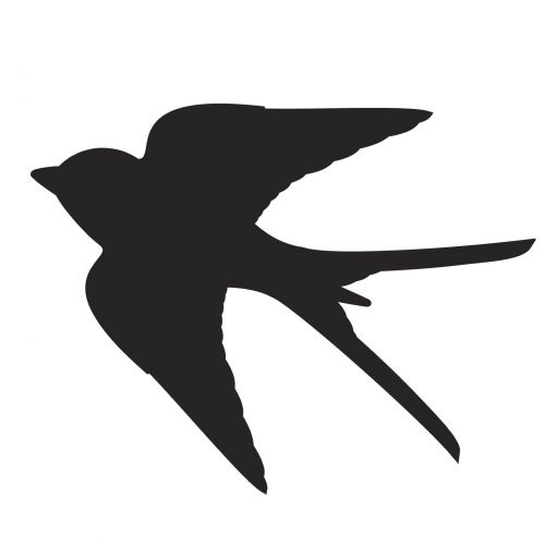 Bird Silhouette - Swallow