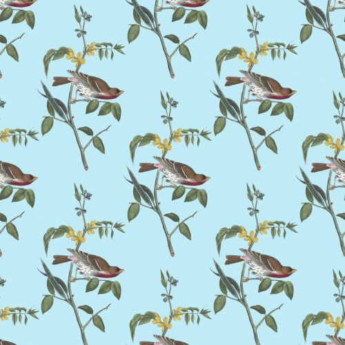 Bird Vintage Background