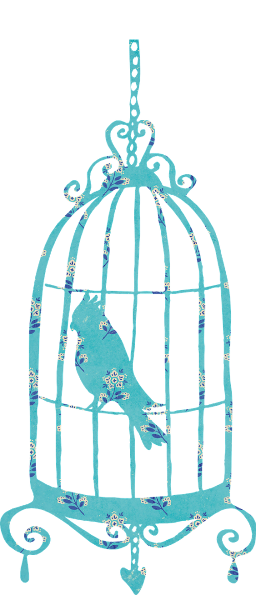 birdcage bird cage