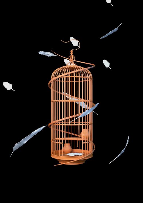 birdcage feather captivity