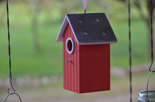 birdhouse house birds cottage