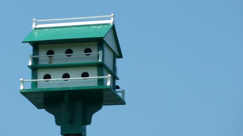 birdhouse bird nesting