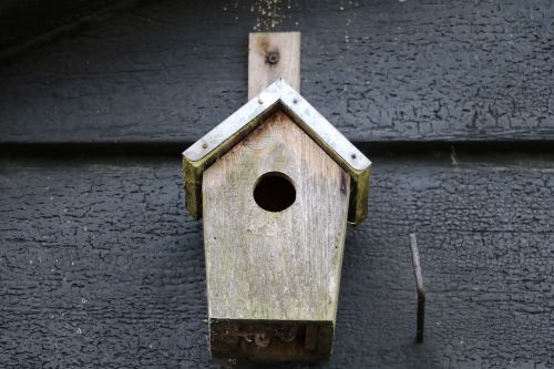 birdhouse barn bird