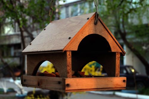 birdhouse house for birds morning
