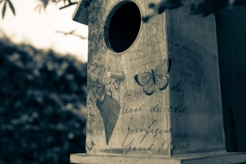 birdhouse birds nest split tone