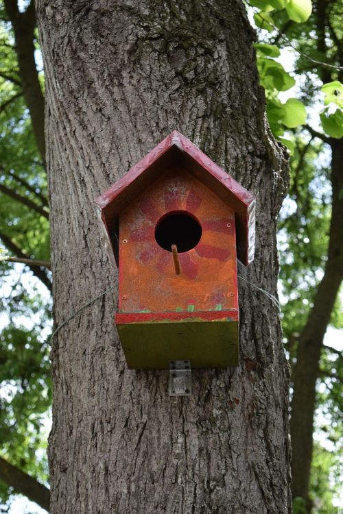 birdhouse bird home