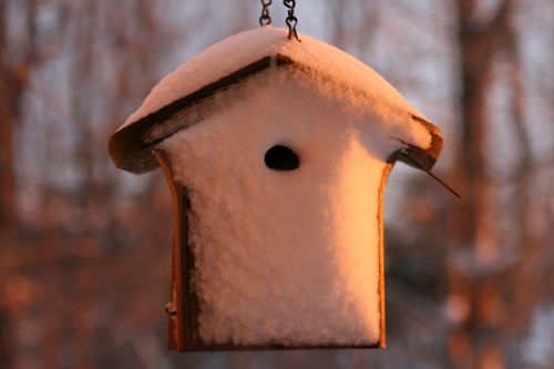 birdhouse snow winter wonderland