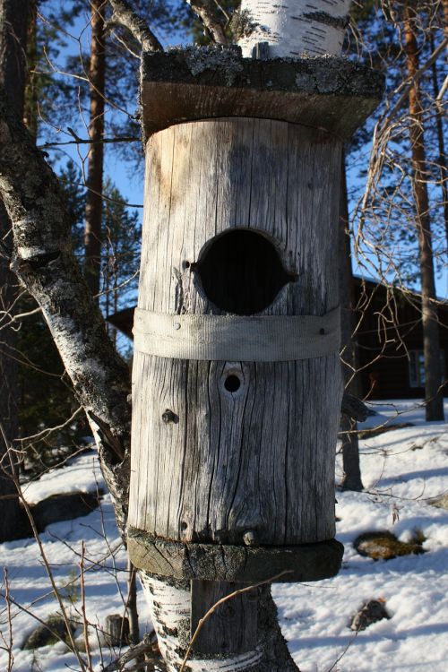 birdhouse nestbox nature photo