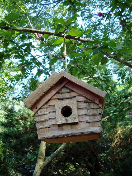 birdhouse  wood  tree