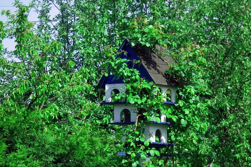 birdhouse  colored  nature