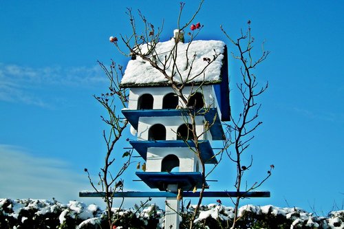 birdhouse  ornament  winter