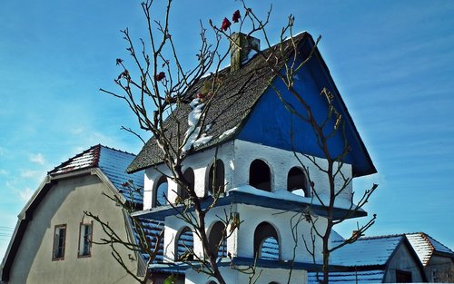 birdhouse  the roofs  winter