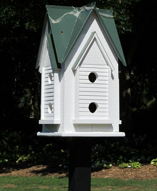 birdhouse birds house nest