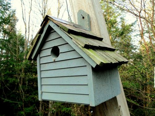 birdhouse wood blue