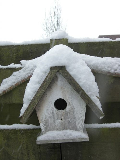 birdhouse snow winter
