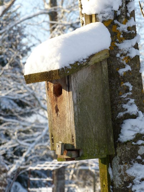 birdhouse snow winter