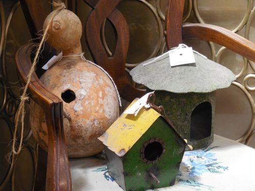 birdhouse gourd bird