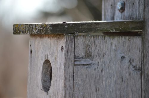 birdhouse wooden old