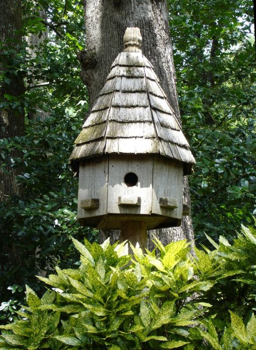 birdhouse nature decoration
