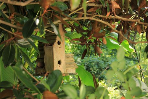 birdhouse bird house wooden