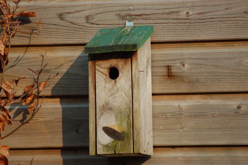 birdhouse wood garden