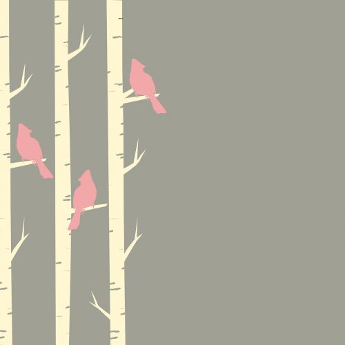 birds trees birch
