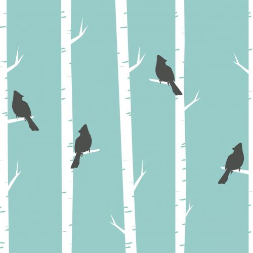 birds trees birch