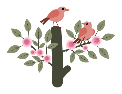 birds animals roses