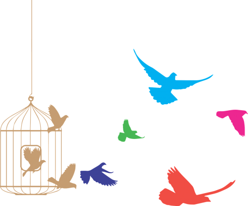birds cage freedom
