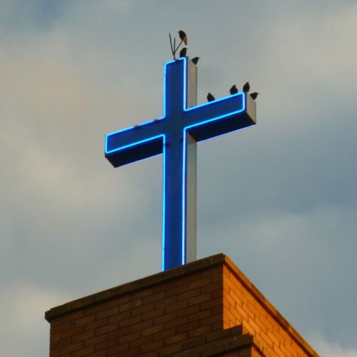 birds cross steeple