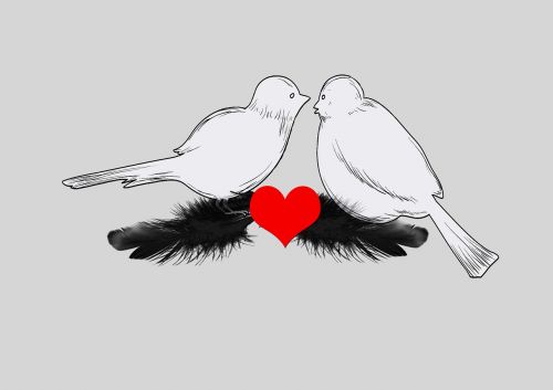 birds heart feather