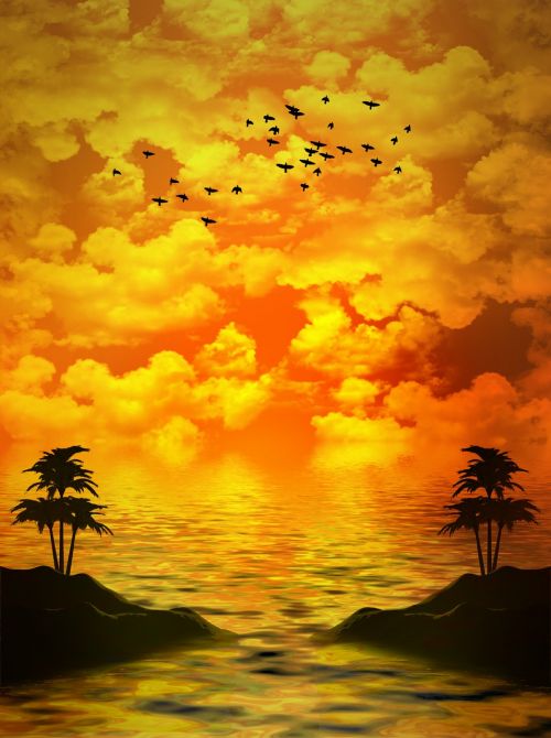 birds palm trees island