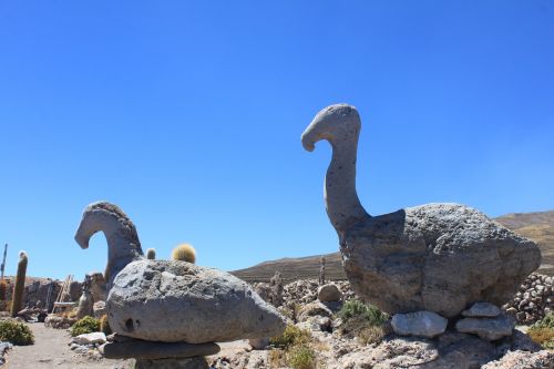 birds prehistory stones