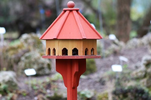 birds house  feeding  garden